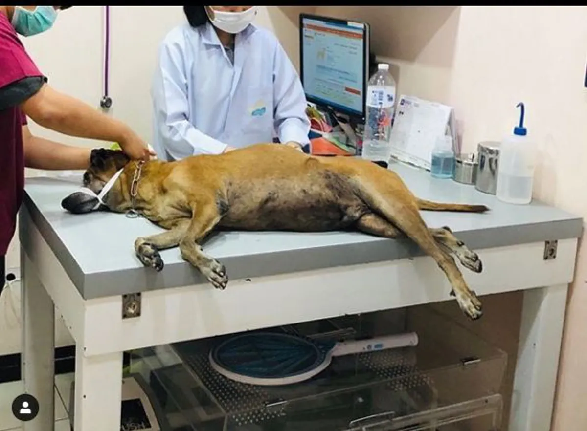 โบว์ แวนด้า เผยคำสั่งเสียของ ปอ ทฤษฎี  ในลมหายใจสุดท้าย หลังสูญเสียสมาชิกสำคัญของครอบครัว