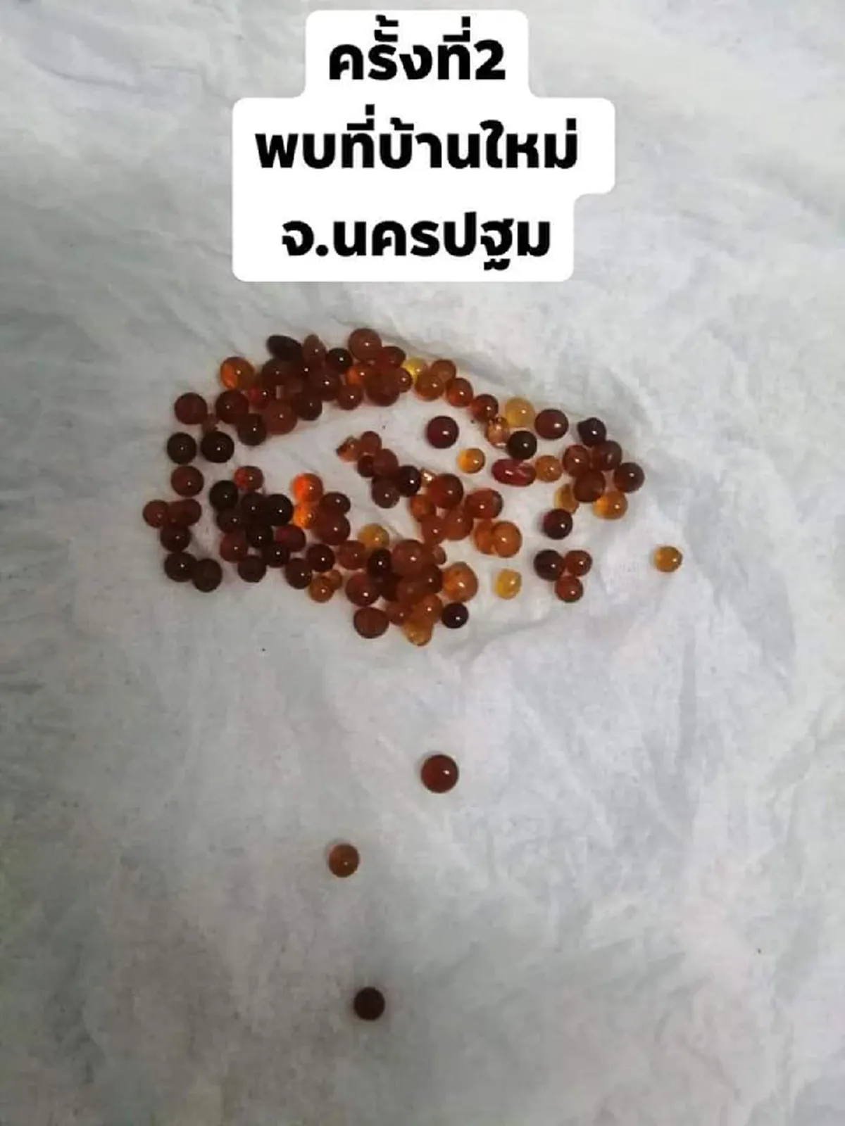 หนุ่มยิ่งกว่าแปลกใจ เจอเม็ดปริศนาโผล่ภาพในบ้าน ระยะเวลาและสถานที่ต่างกัน 1 ปี