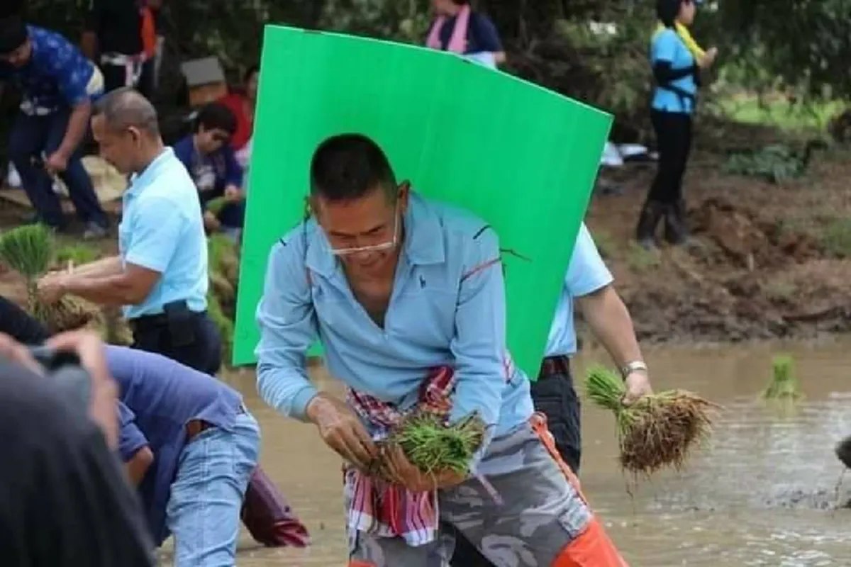 พ่อเมืองเลย หาบกล้า นำทีมลงแขกดำนา ช่วยชาวบ้านที่ถูกน้ำป่าซัด ไร่นาเสียหาย