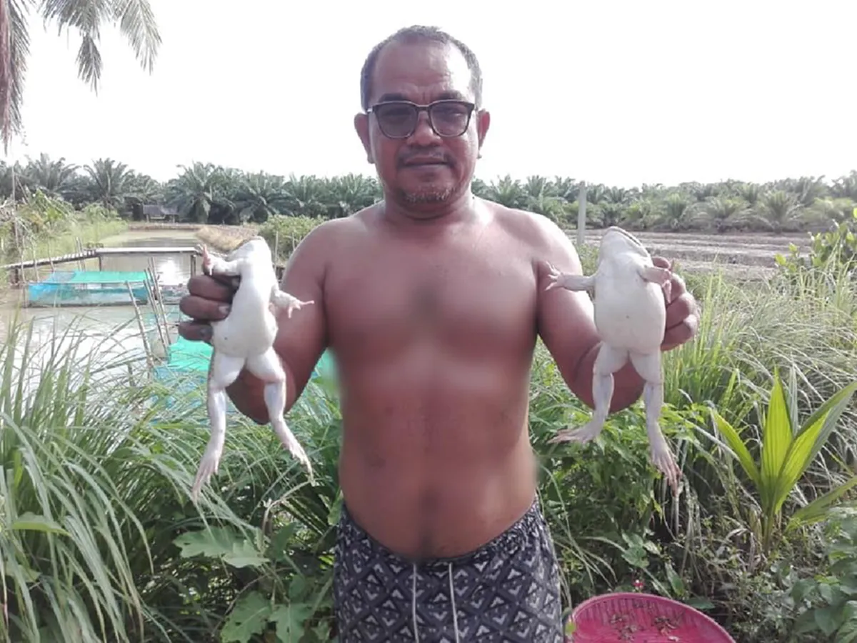 ผญ.เส สร้างชีวิตในฝัน ทำเกษตรแบบผสมผสาน เก็บไข่ ผัก กิน เหลือขายสร้างรายได้เข้าครอบครัว