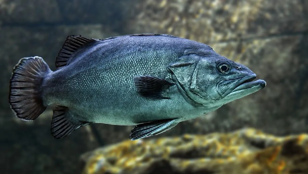 6 ความฝันตามคำทำนายโบราณ ที่เชื่อว่ากำลังจะมีโชคลาภ เตรียมตัวรับทรัพย์ก้อนโต