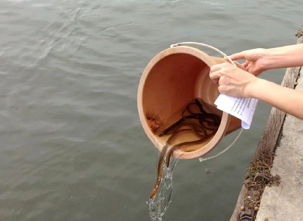 ชีวิตจะมีสุข ได้กุศลแรง!! "เคล็ดการทำบุญวันเกิด"ปีเดียว มีวันเดียว เลือกทำบุญให้ถูกวิธี ชีวิตเจริญรุ่งเรือง อานิสงส์มากมาย #ทำบุญวันเกิด