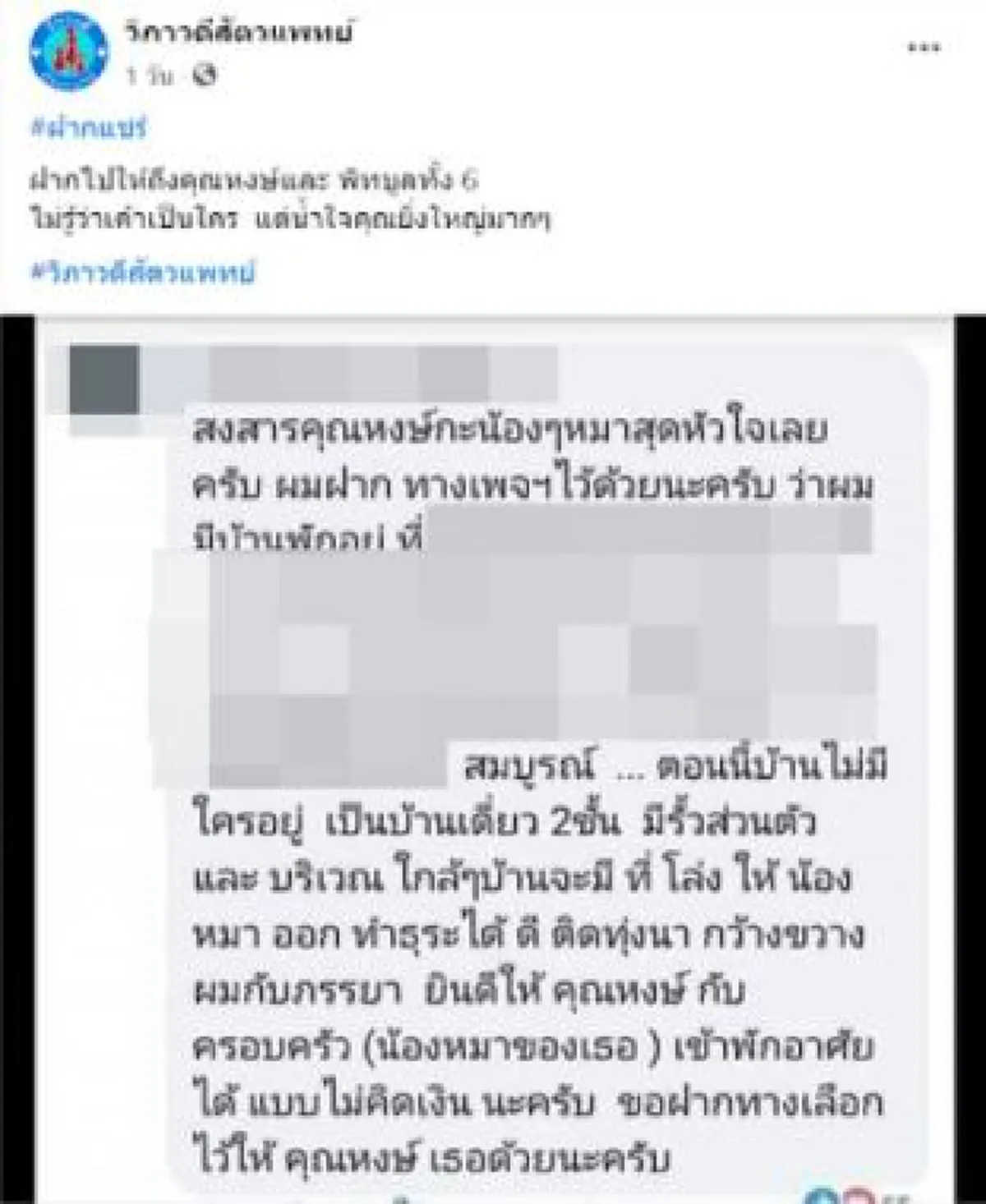 ส่องบ้านหลังใหม่แก๊งพิตบูล 6 ตัว ของเค้ก หลังคนใจดียกให้อยู่ฟรี แต่ส่อวุ่นชาวบ้านต่อต้าน