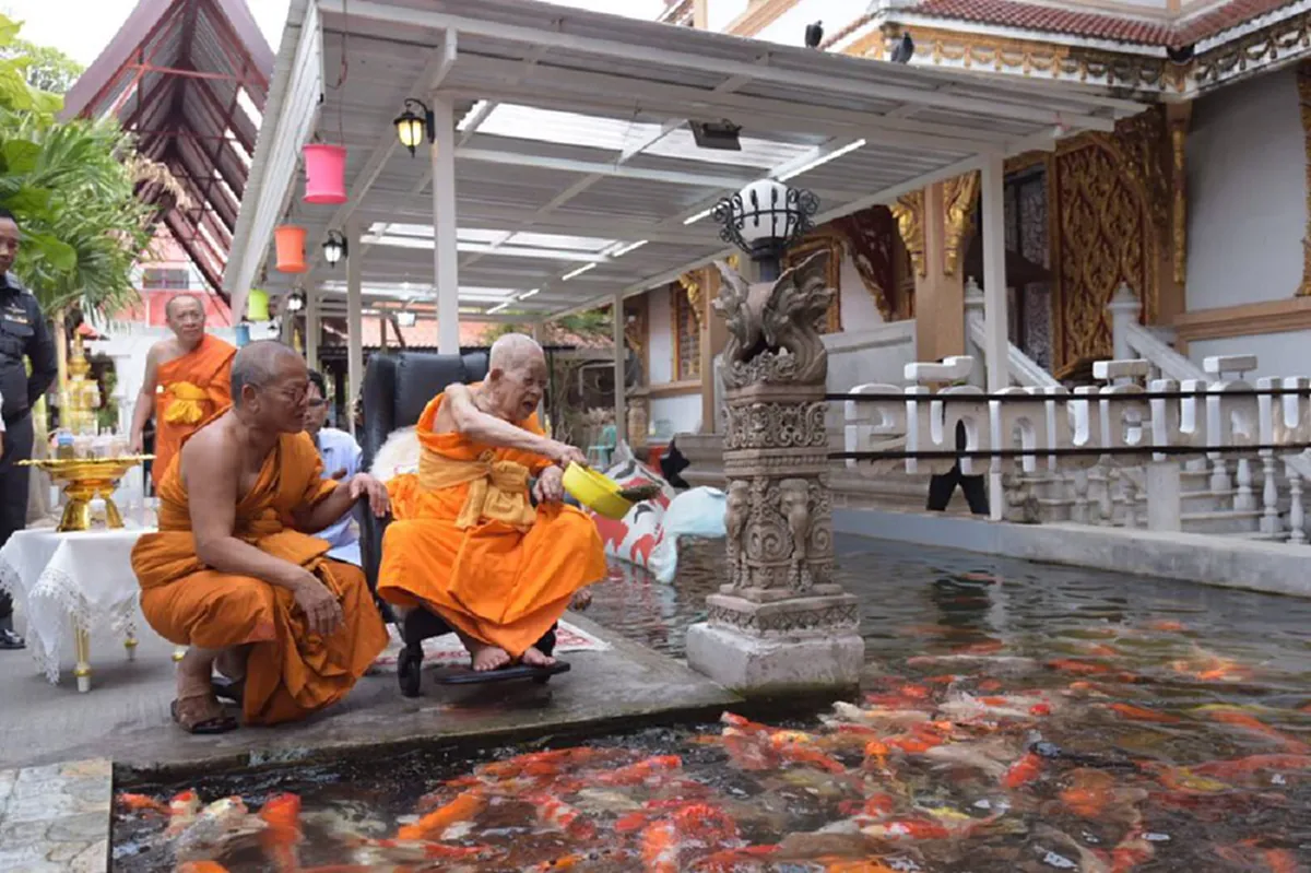 ป่วยการเมือง!? แฉ.."สมเด็จช่วง"ไม่เคยเข้าประชุมมส.ตั้งแต่ตั้งสังฆราช อ้างป่วย แต่ไปเป็นประธานเปิดงานหมู่บ้านศีลห้า!! อย่างไหนสำคัญกว่ากัน ?