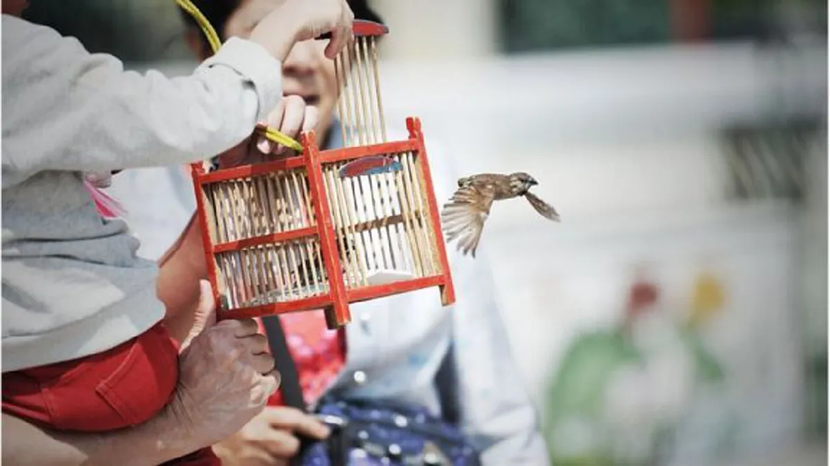 ชีวิตจะมีสุข ได้กุศลแรง!! "เคล็ดการทำบุญวันเกิด"ปีเดียว มีวันเดียว เลือกทำบุญให้ถูกวิธี ชีวิตเจริญรุ่งเรือง อานิสงส์มากมาย #ทำบุญวันเกิด