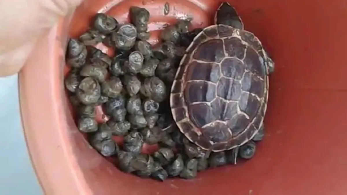 ชีวิตจะมีสุข ได้กุศลแรง!! "เคล็ดการทำบุญวันเกิด"ปีเดียว มีวันเดียว เลือกทำบุญให้ถูกวิธี ชีวิตเจริญรุ่งเรือง อานิสงส์มากมาย #ทำบุญวันเกิด