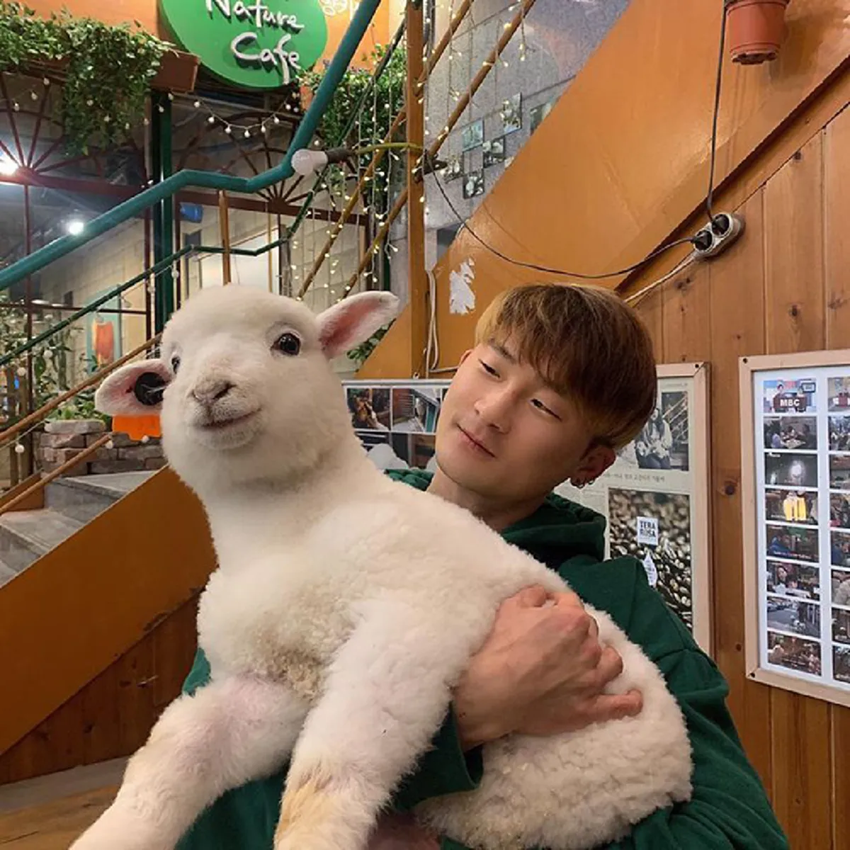 เจ้าของร้านแจ็คพอตแตก ลูกค้าแห่มากันไม่ขาดสาย หลังจับแกะเนื้อตัวมอมแมมมาอาบน้ำใหม่