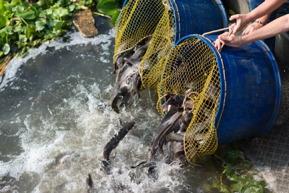 ชีวิตจะมีสุข ได้กุศลแรง!! "เคล็ดการทำบุญวันเกิด"ปีเดียว มีวันเดียว เลือกทำบุญให้ถูกวิธี ชีวิตเจริญรุ่งเรือง อานิสงส์มากมาย #ทำบุญวันเกิด