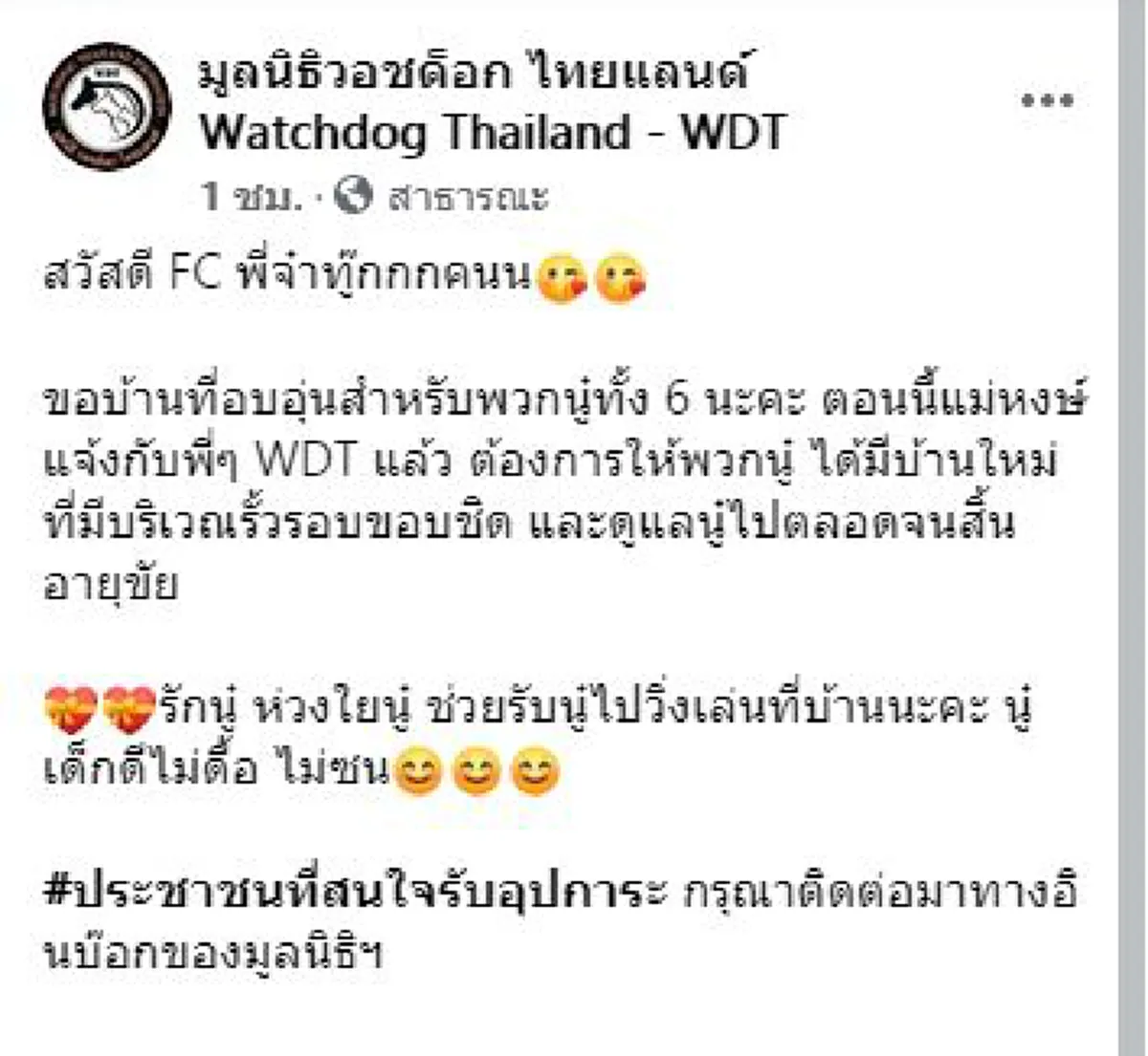 เพจดังวอชด็อก ไทยแลนด์ ประกาศหาบ้าน ให้พิตบูลทั้ง 6 ตัว ของแม่หงษ์ เผยไม่เลี้ยงต่อแล้ว