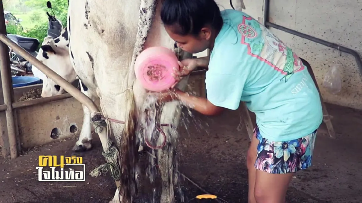 อนิจจา 9 ชีวิต ต้องกินข้าวต้มกับเกลือ ประทังหิวให้อยู่รอด ยิ่งสลดใจหลานคนโตต้องออกจาก รร. มารีดนมวัวส่งน้องเรียนหนังสือ