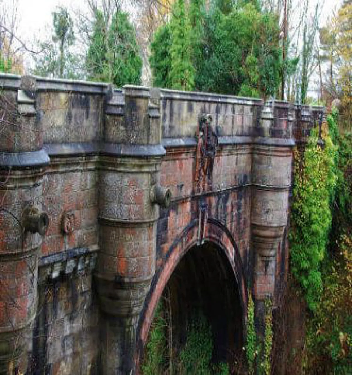 เรื่องราว “สะพานสุสานสุนัข” พวกมันจะมากระโดดลงไปกว่า 600 ตัว โดยไม่ได้นัดหมาย และทำซ้ำๆมาจนถึงทุกวันนี้