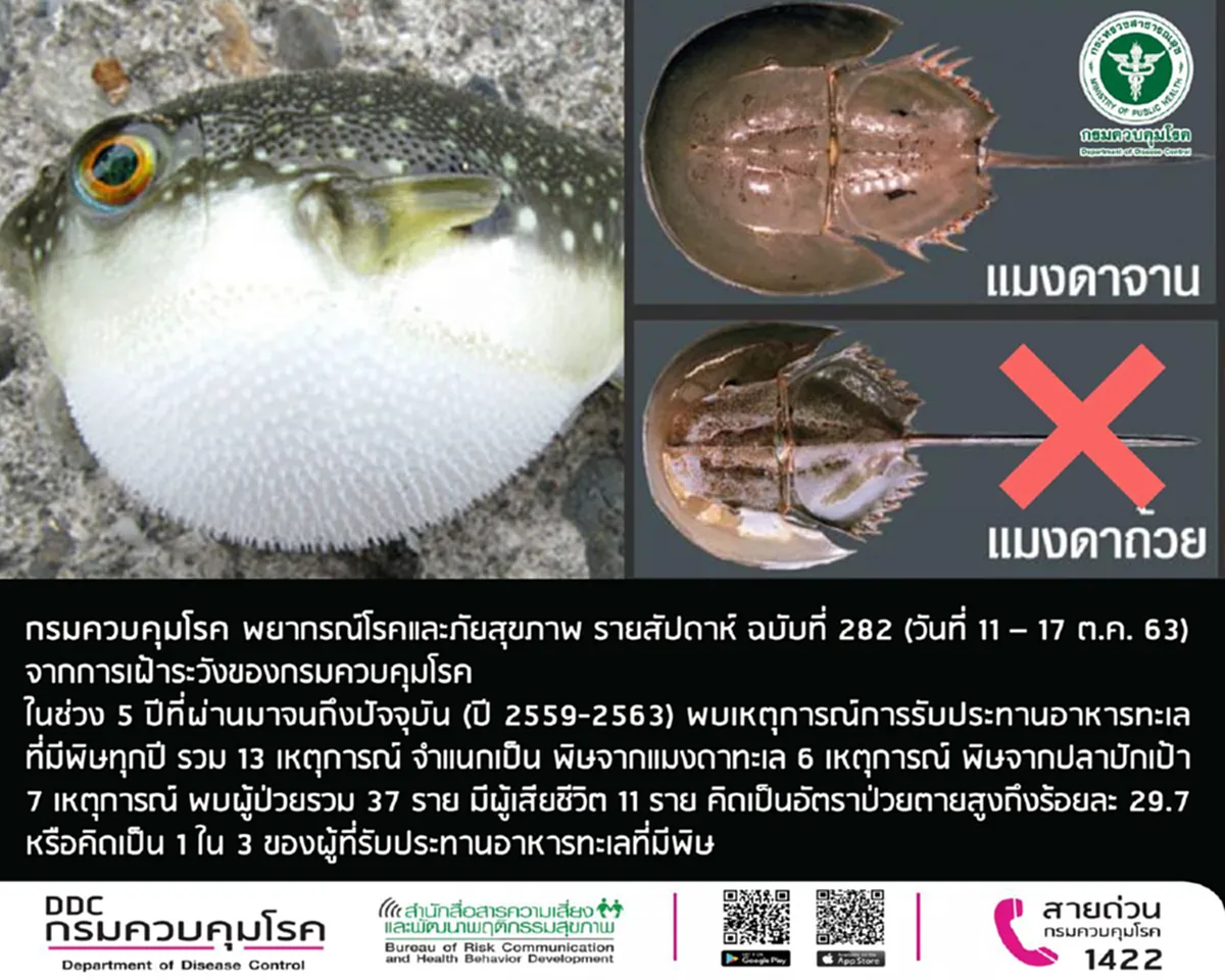 กรมควบคุมโรค เตือนประชาชนระมัดระวังการรับประทานอาหารทะเล