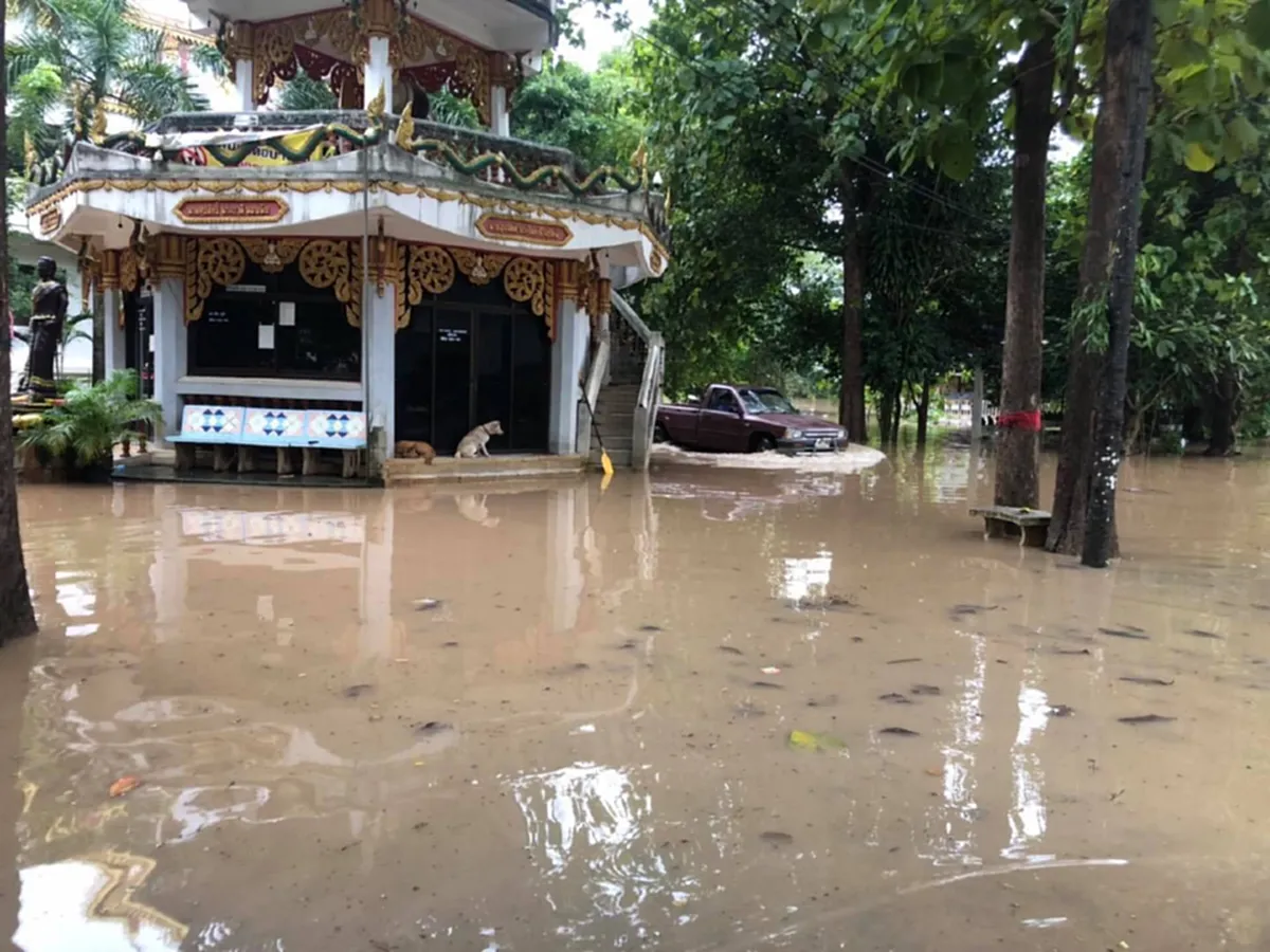 เขาใหญ่อ่วมหนักน้ำป่าทะลัก  รีสอร์ท บ้านเรือนปชช.จมบาดาล ทุกฝ่ายเร่งระดมช่วย