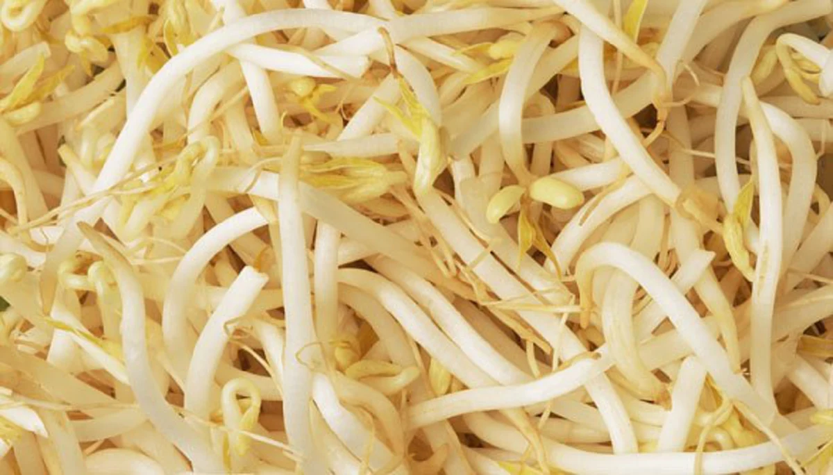 เลี่ยงได้เลี่ยง กินถั่วงอกดิบ อาจมีอันตรายถึงชีวิต