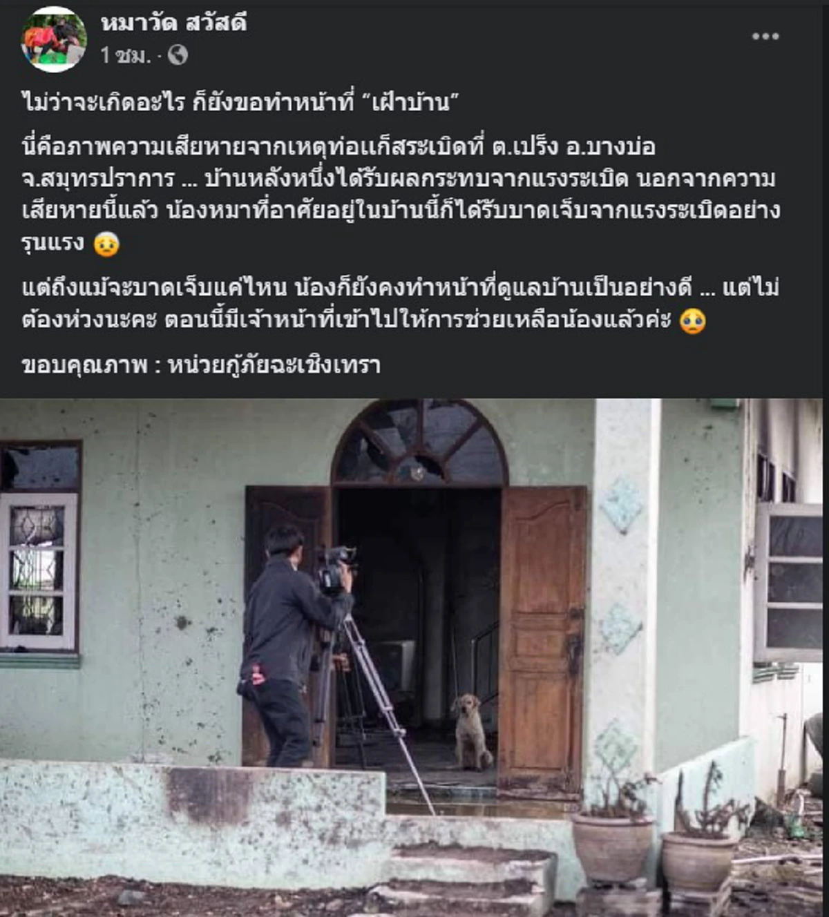 ภาพบีบหัวใจ ตูบน้อยทำหน้าที่ดูแลบ้าน แม้ท่อเแก๊สระเบิด ก็ไม่คิดหนี