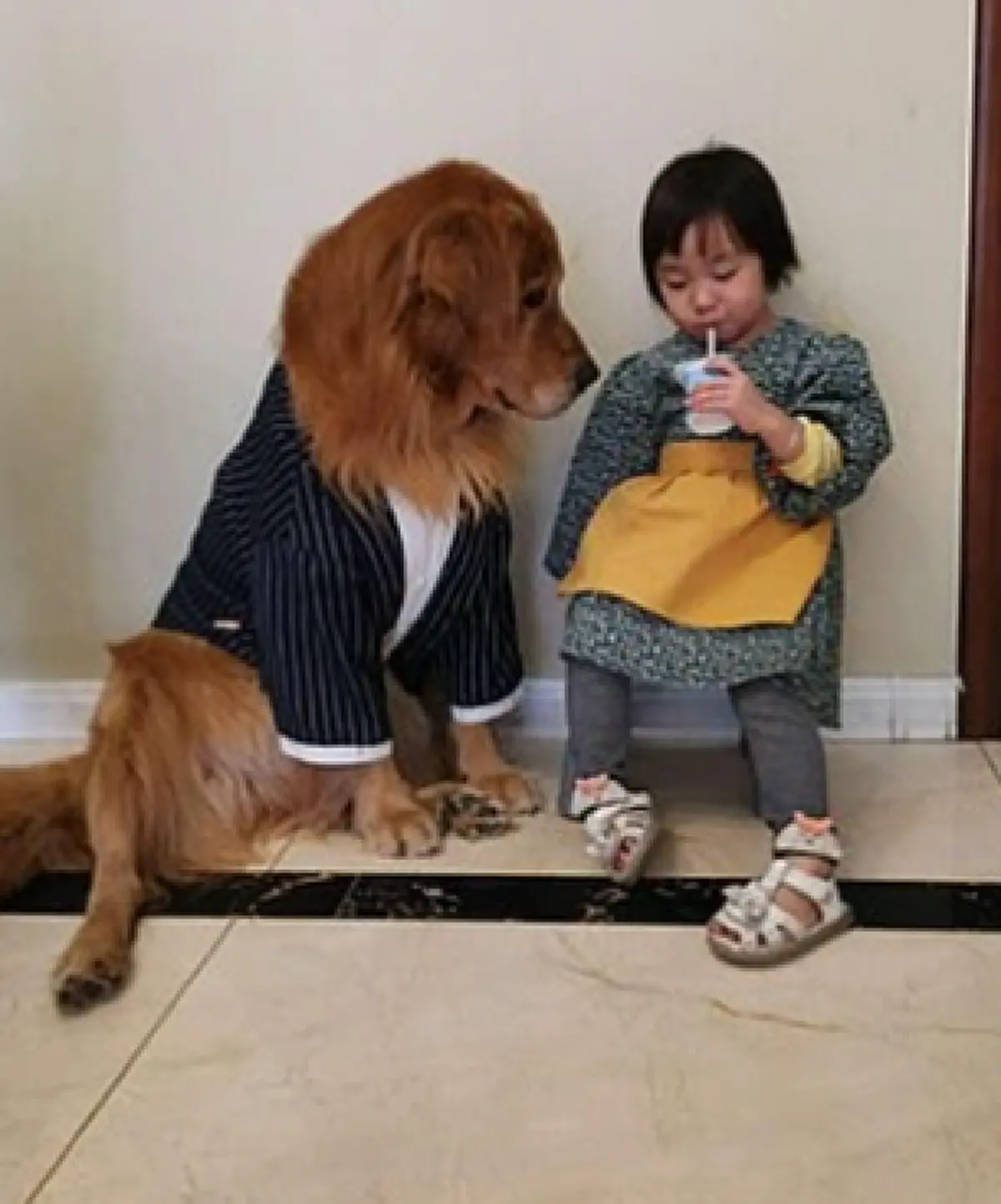 คุณแม่ชาวจีนตั้งท่าดุลูกสาว ยังไม่ทันได้เอ่ยปาก อัศวินตัวน้อยรีบวิ่งเข้ามาปกป้องแยกเขี้ยวใส่