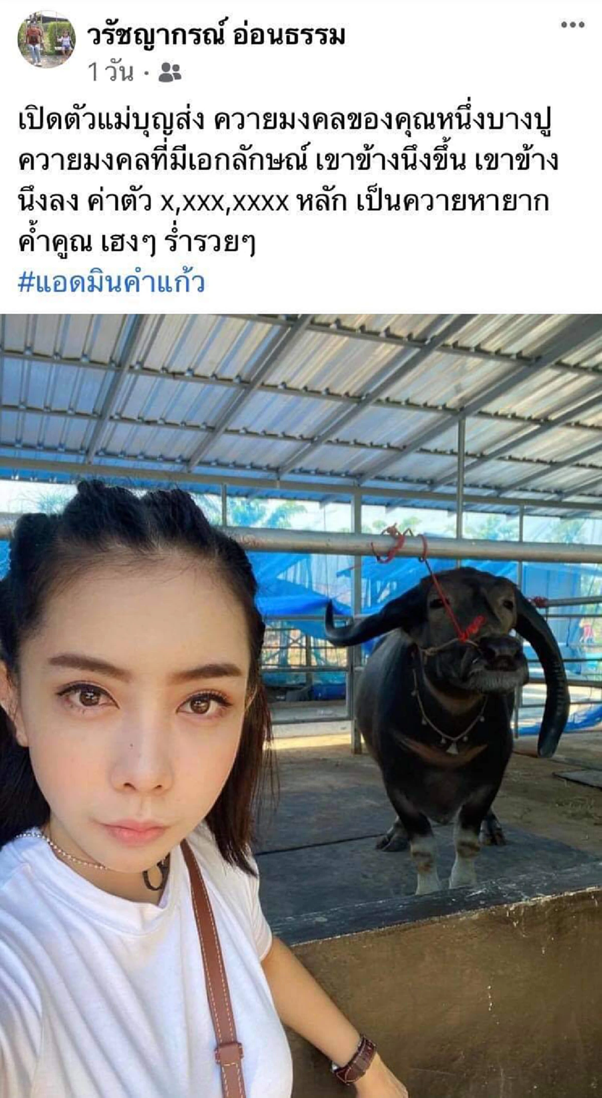 ใครเห็นก็ว่าบ้า หนึ่ง บางปู ก่อนบ่ายฯ ซื้อควายราคาสูงถึง 7 หลัก มาเลี้ยงไว้ดูเล่น