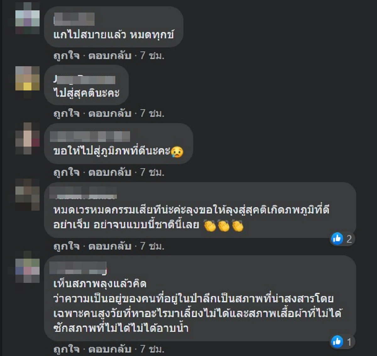 อนิจจา คุณลุงกินข้าวเปล่ากับเกลือ อาศัยอยู่ในป่าลึกเพียงลำพัง ล่าสุดเสียชีวิตแล้ว