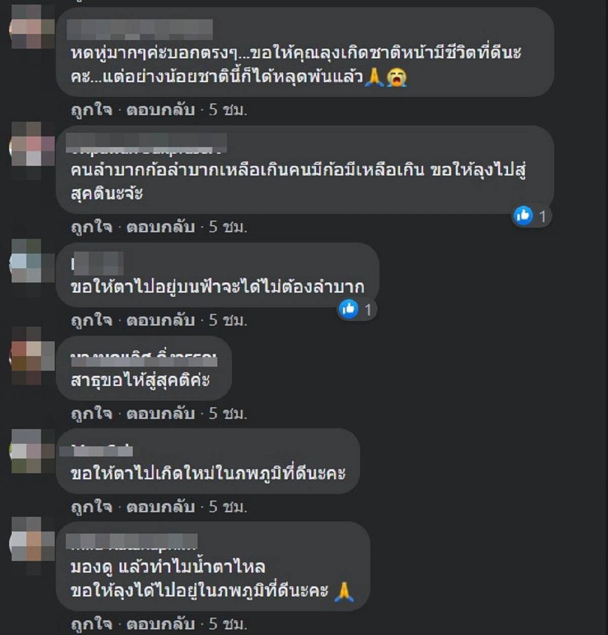 อนิจจา คุณลุงกินข้าวเปล่ากับเกลือ อาศัยอยู่ในป่าลึกเพียงลำพัง ล่าสุดเสียชีวิตแล้ว