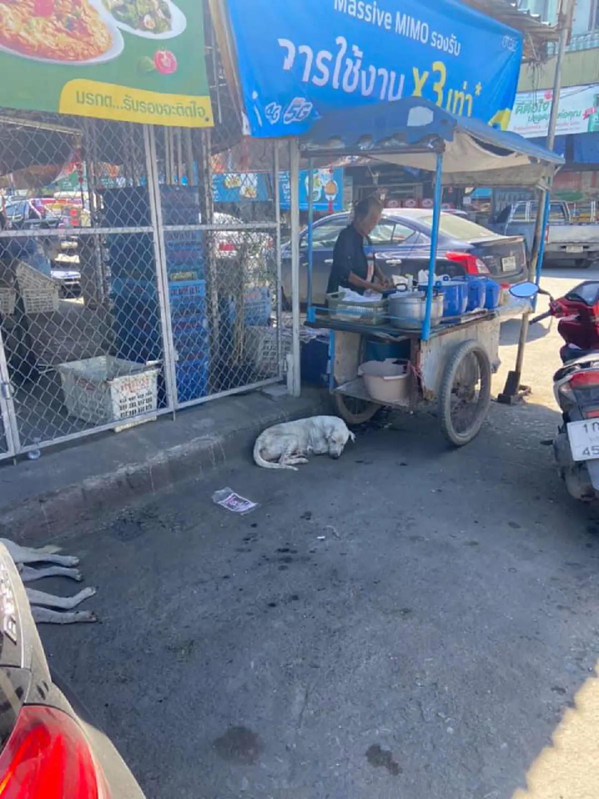 ลูกค้าหนุ่มเห็นแล้วสงสาร ยายวัย 70 นั่งขายขนมจีนสุดเงียบเหงา ก่อนสั่งทานยิ่งประหลาดใจ ถามหากำไรต่อวันแทบไม่ได้ทุนคืน