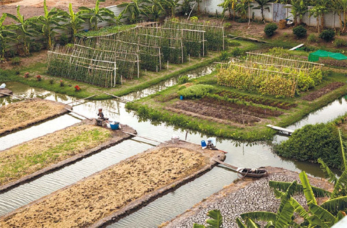 เปิดอาณาจักร เสี่ยตา ปัญญา นิรันดร์กุล เจ้าพ่อแห่งเวิร์คพอยท์