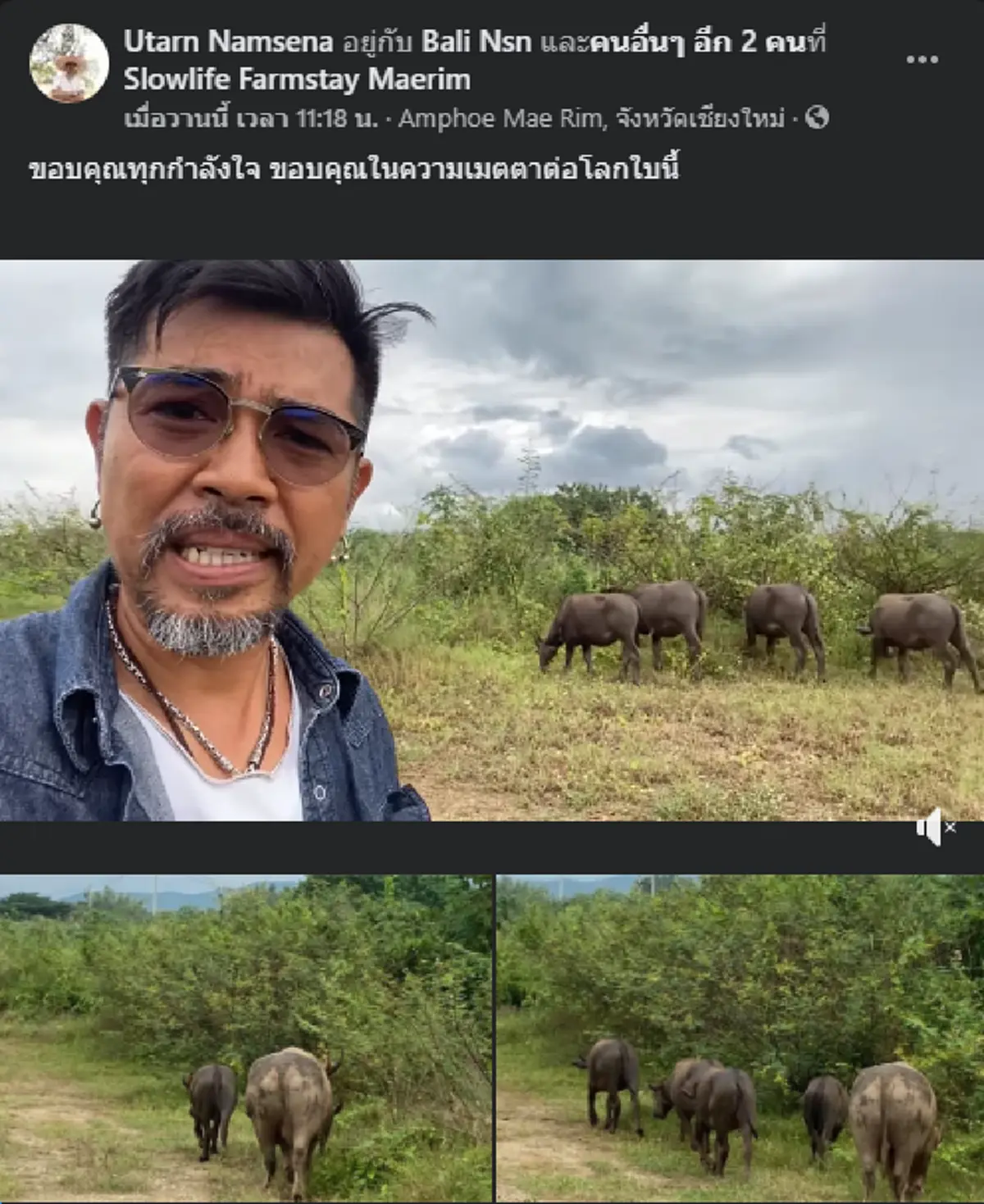 เปิดใจหนุ่มขอไถ่ชีวิตกระบือจากกระบะขนไปเชือด สุดใจบุญทำมาแล้ว 2 ครั้ง จนมีเลี้ยงไว้ถึง 11 ตัว แถมปล่อยสบายไม่สนตะพาย