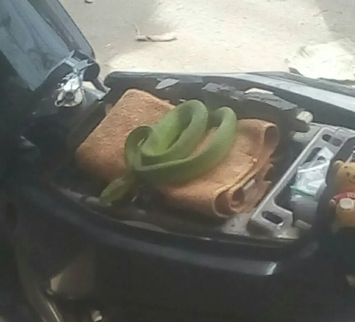 หนุ่มออกรถมือสองมาวันแรก จอดทิ้งไว้ได้สักพัก เจอแขกไม่ได้รับเชิญเลื้อยเข้ามาเจิมแต่หัววัน