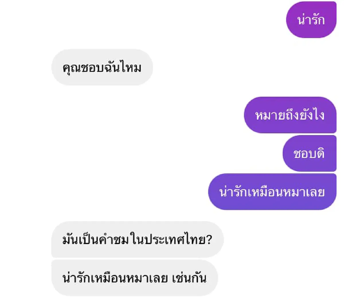 เปิดแชทสุดฮา เมื่อ “หนุ่มเกาหลี” ใช้ทรานสเลททักจีบ “สาวไทย”