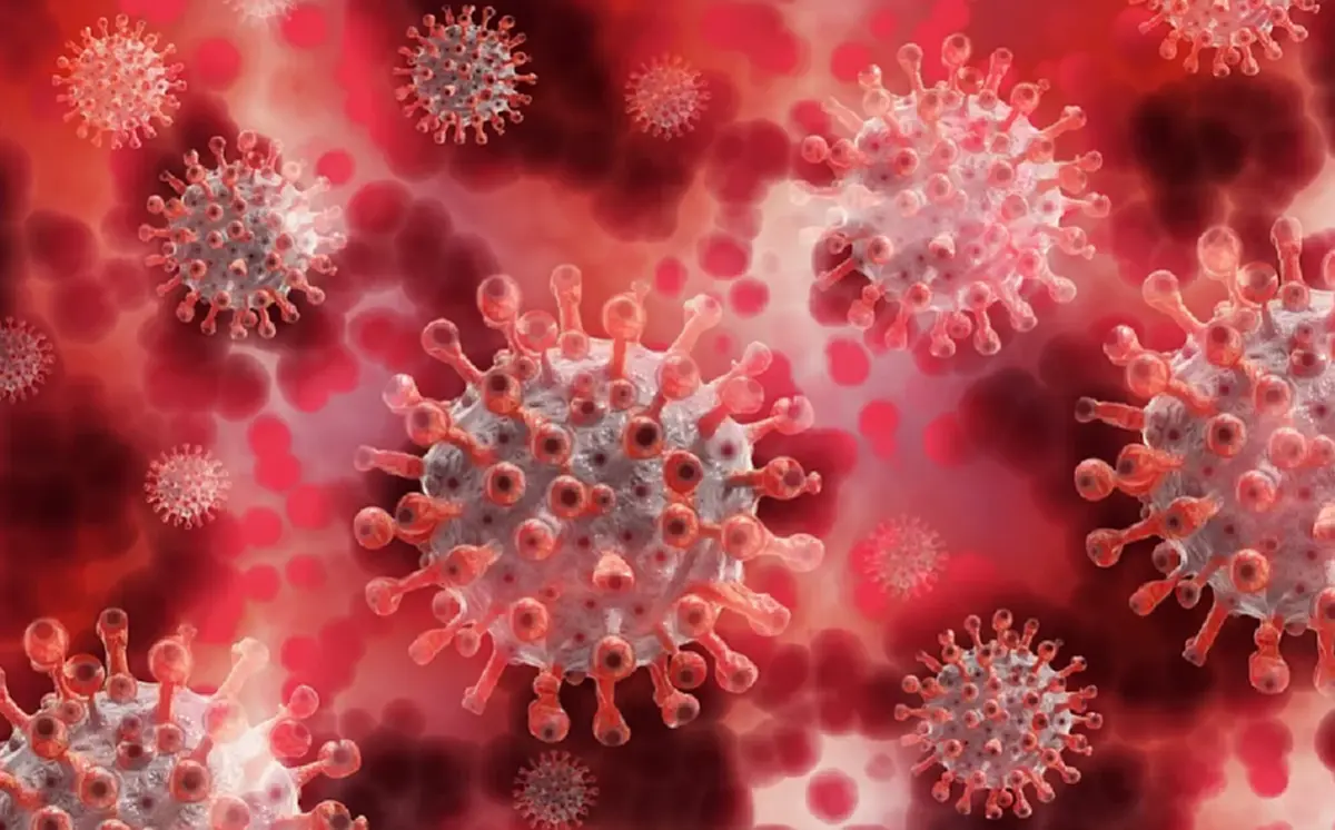 ลพบุรีแจ้งผลตรวจเชิงรุก กลุ่มเสี่ยงเกี่ยวข้องสนามชนไก่