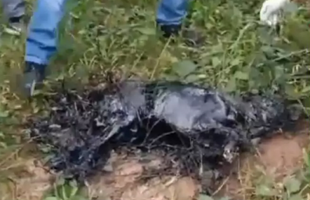 เผยภาพล่าสุด หมาตกถังยางมะตอย ก่อนถูกตั้งชื่อว่า “เจ้ามะตอย”