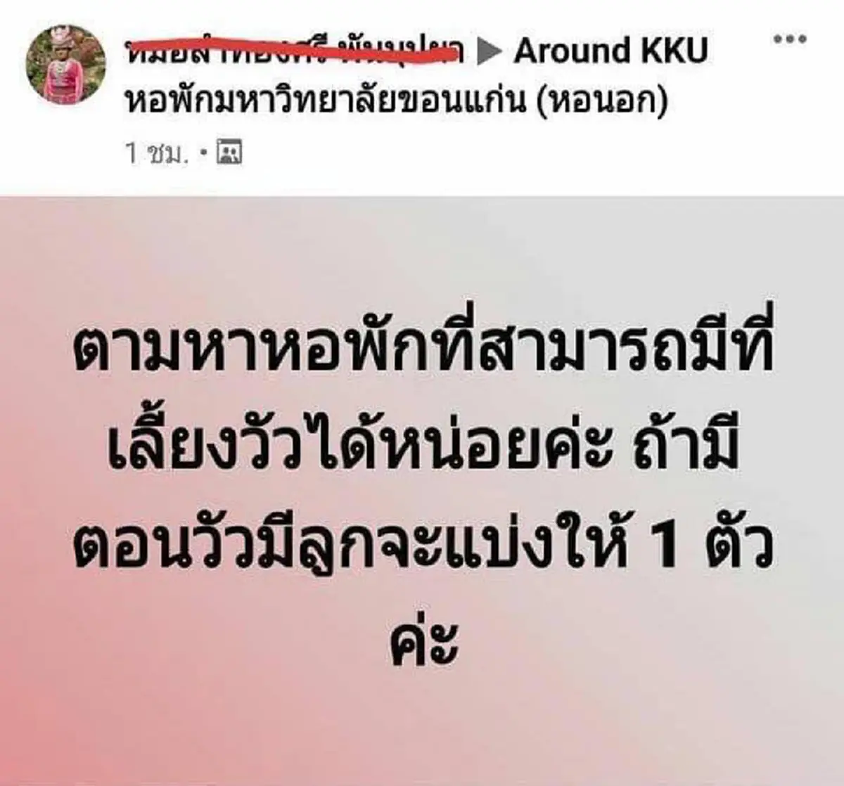 สาวโพสต์หาหอพัก ขอคุณสมบัติ สามารถเลี้ยงวัวได้