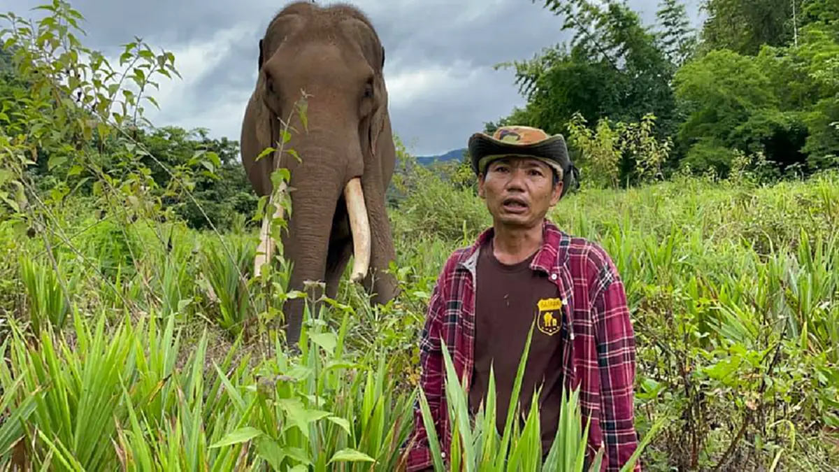 พบแล้ว ลุงวัย 58 หลงป่า 16 วัน