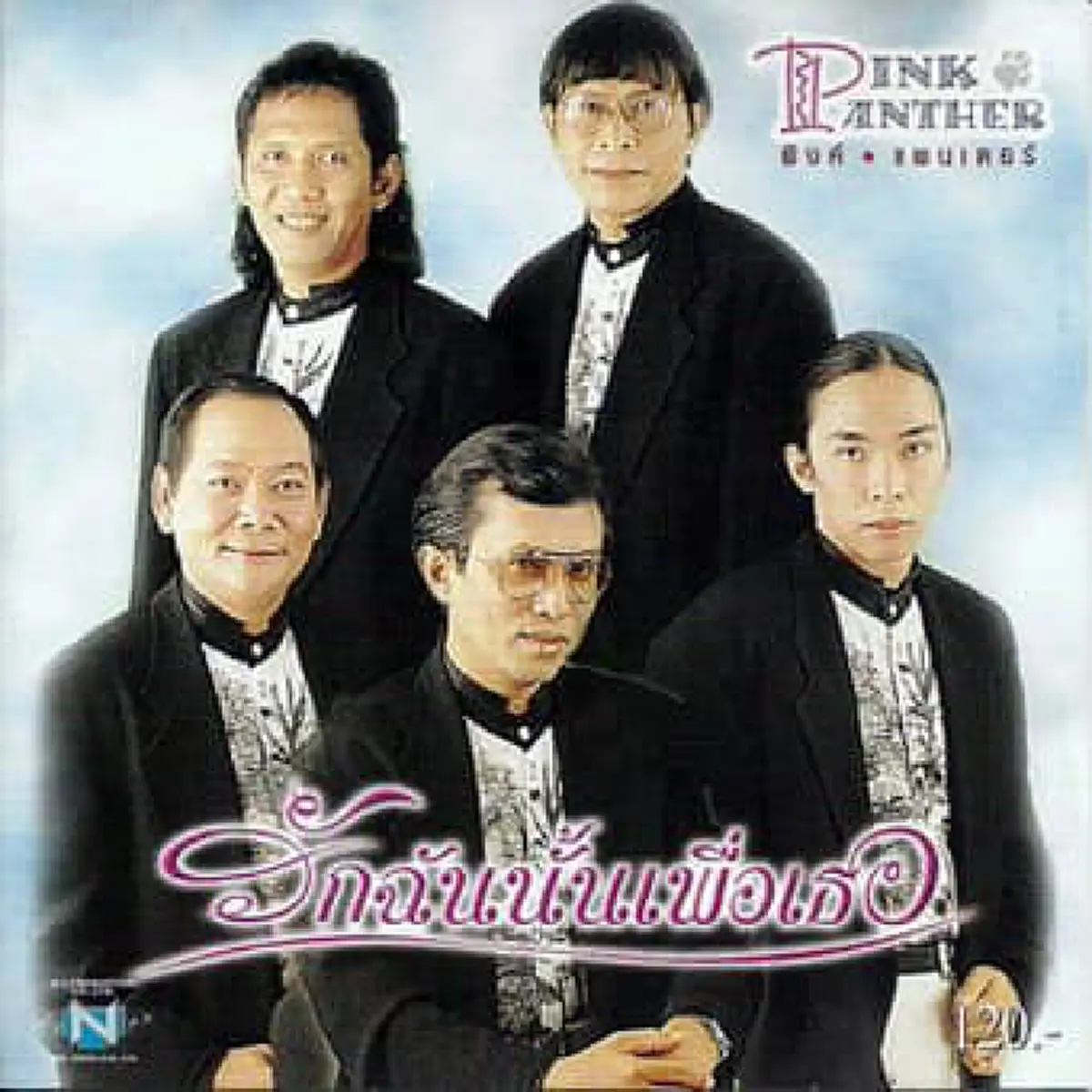 วงพิงค์แพนเตอร์