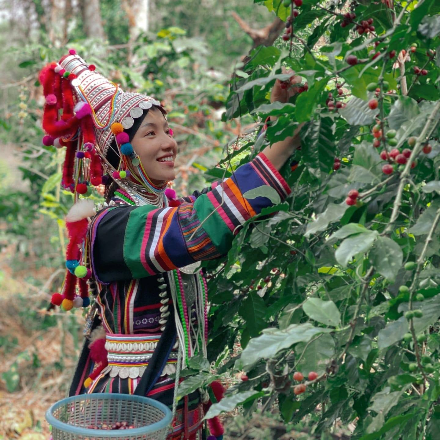 My Image 61