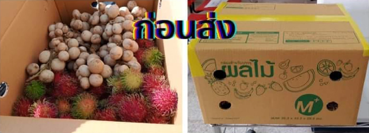 เผยสภาพ ก่อน-หลัง ส่งผลไม้ให้ลูกค้า แค่ 2 วัน