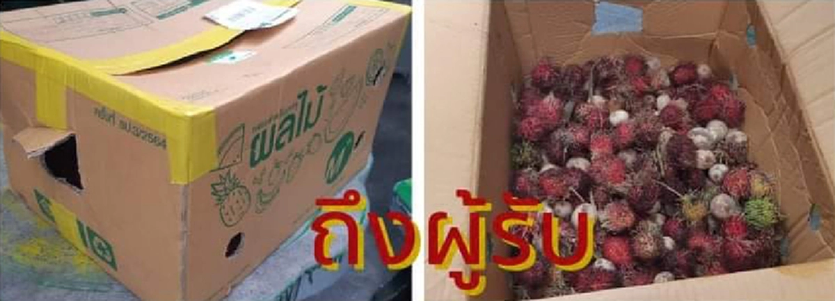 เผยสภาพ ก่อน-หลัง ส่งผลไม้ให้ลูกค้า แค่ 2 วัน