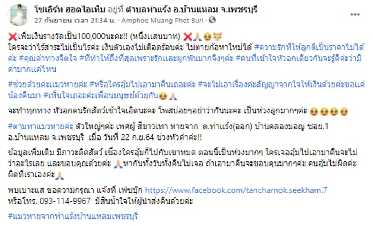 สาวโพสต์ประกาศตามหาแมวหาย ใครพบตัวรับเงินรางวัล 1 แสน