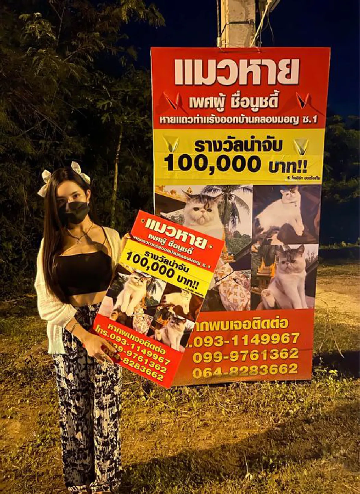 สาวโพสต์ประกาศตามหาแมวหาย ใครพบตัวรับเงินรางวัล 1 แสน