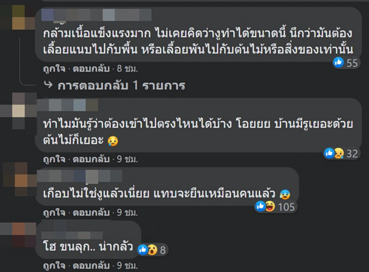 งูเหลือม