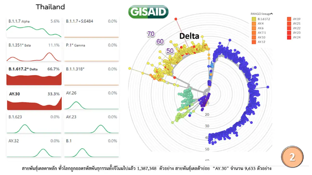 ผู้เชี่ยวชาญเผยข่าวดี โควิด-19 สายพันธุ์เดลตา อาจยุติใน 6 เดือน กลายเป็นโรคประจำถิ่น