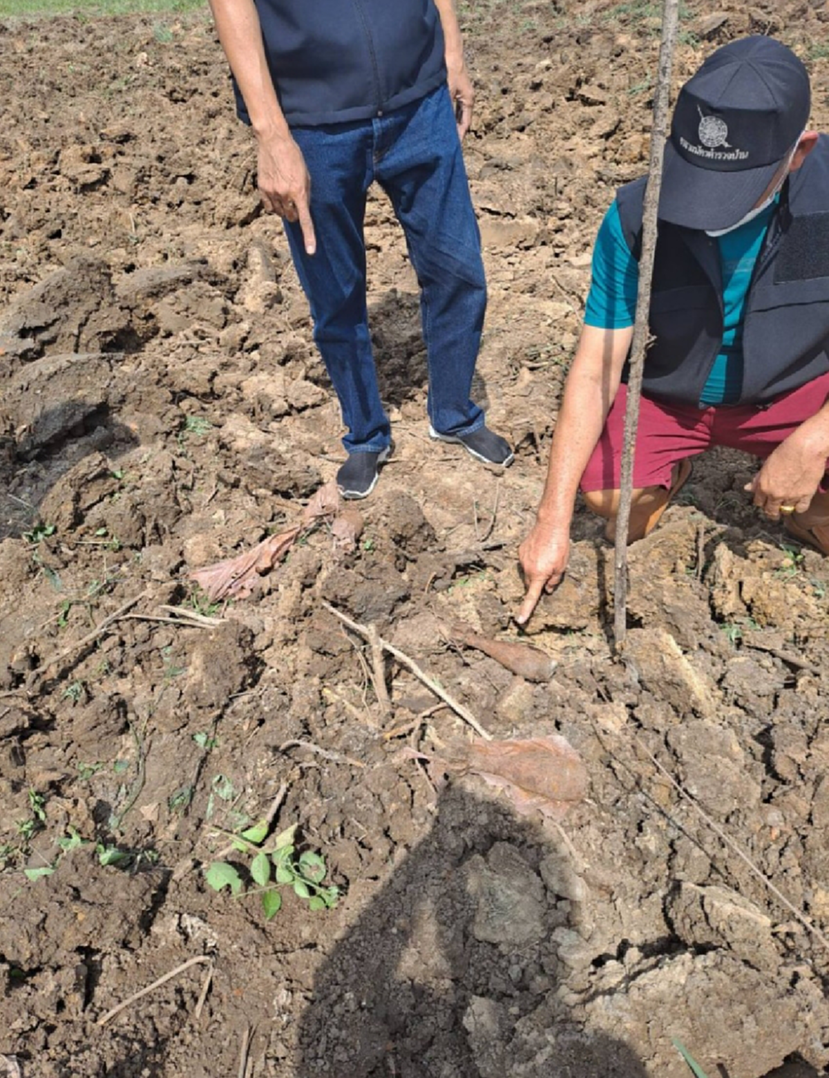 ชาวบ้านราชบุรี รับจ้างไถที่​ เจอระเบิดสงคราม​ 3​ ลูกกลางทุ่งนา