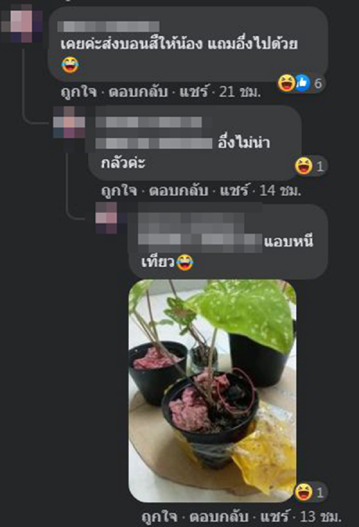 สาวกรี๊ดแตก สั่งซื้อต้นบอนสี ในร้านค้าออนไลน์ กลับได้ของแถมสุดเซอร์ไพรส์