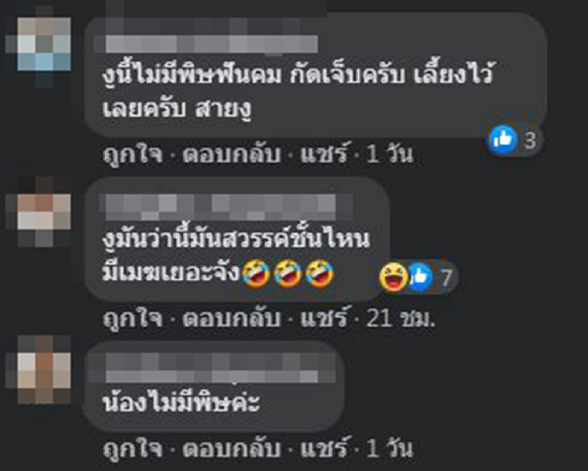 สาวกรี๊ดแตก สั่งซื้อต้นบอนสี ในร้านค้าออนไลน์ กลับได้ของแถมสุดเซอร์ไพรส์