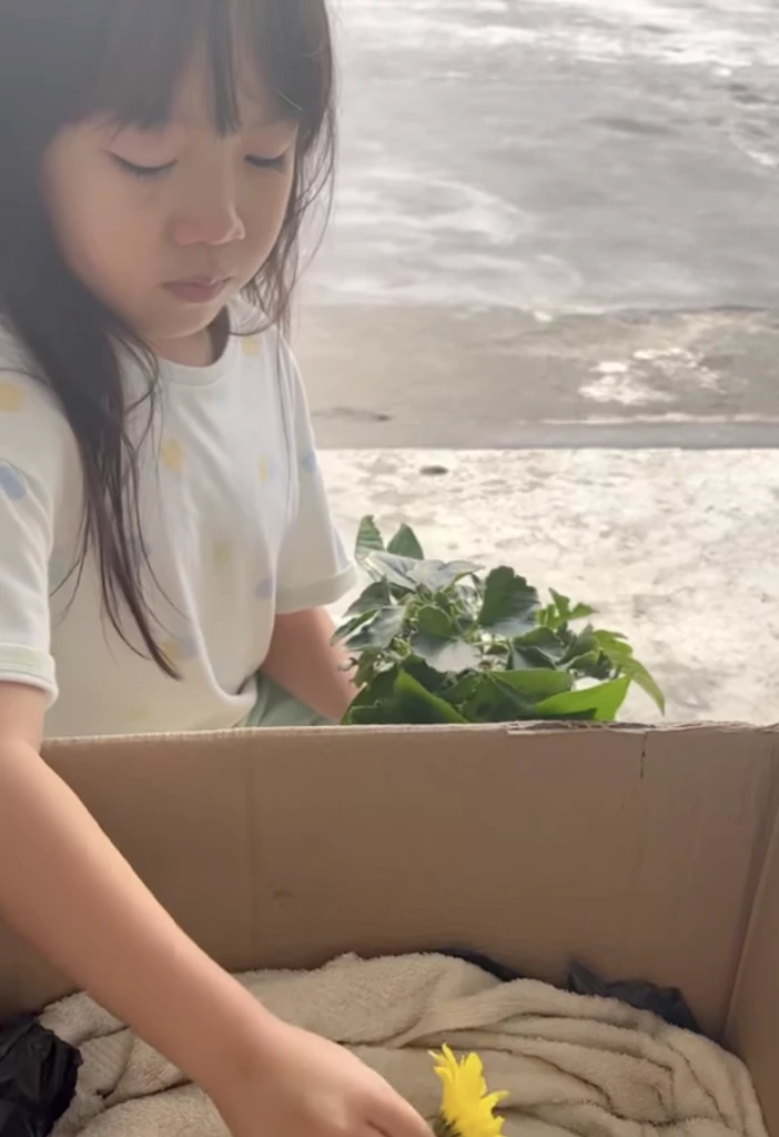นิหน่า สุฐิตา นิหน่า สูญเสีย น้องหมา หมาตาย