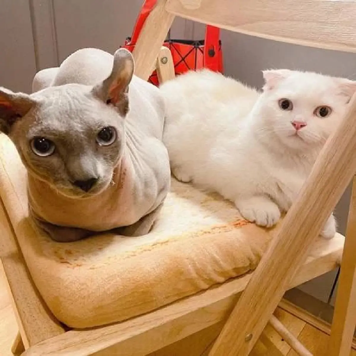 แอนนา เผยสิ่งแทนใจ "แตงโม นิดา" ทิ้งไว้ก่อนเสียชีวิต ยันจะดูแลให้ดีที่สุด