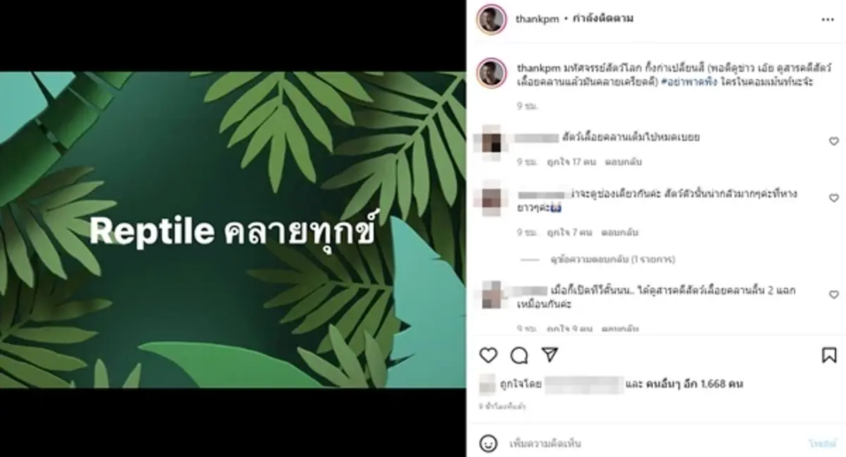 แต๊งค์ พงศกร ฟาดสนั่นกลางดึก มหัศจรรย์ กิ้งก่าเปลี่ยนสี ชาวเน็ตคอมเมนต์แรง