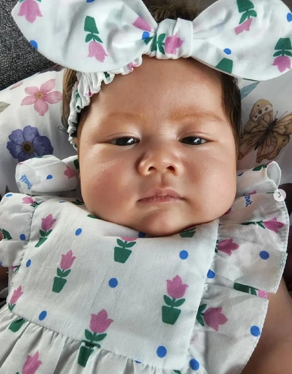  “น้องแอบิเกล” ลูกสาว “ชมพู่ อารยา” ในวัย 2 เดือน คิ้วสีทอง หน้าออกฝรั่ง