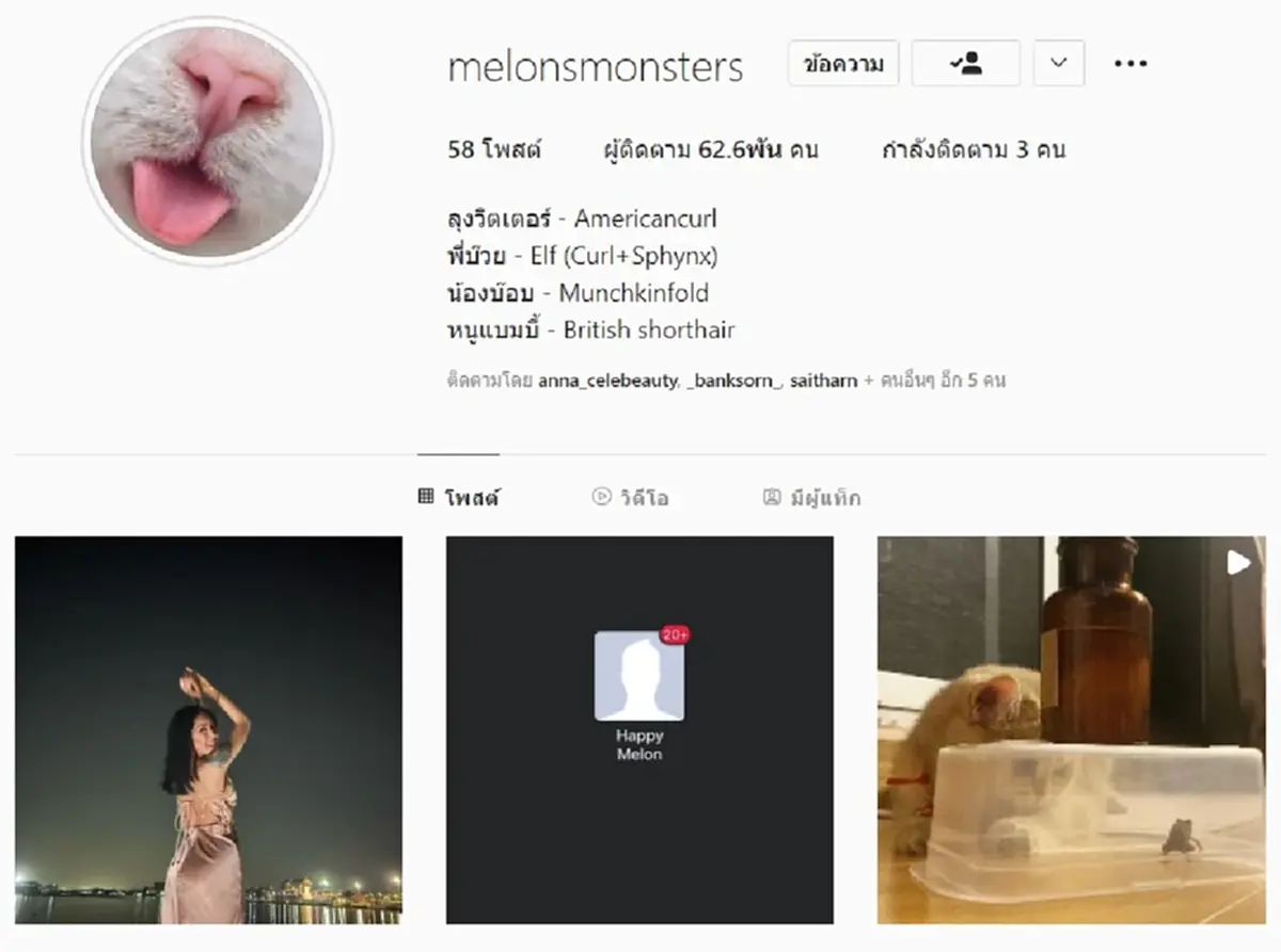 เฟซบุ๊ก "แตงโม นิดา" ล่าสุดปลิวแล้ว ก่อนมือมืดโผล่เคลื่อนไหว IGแมวของแตงโม