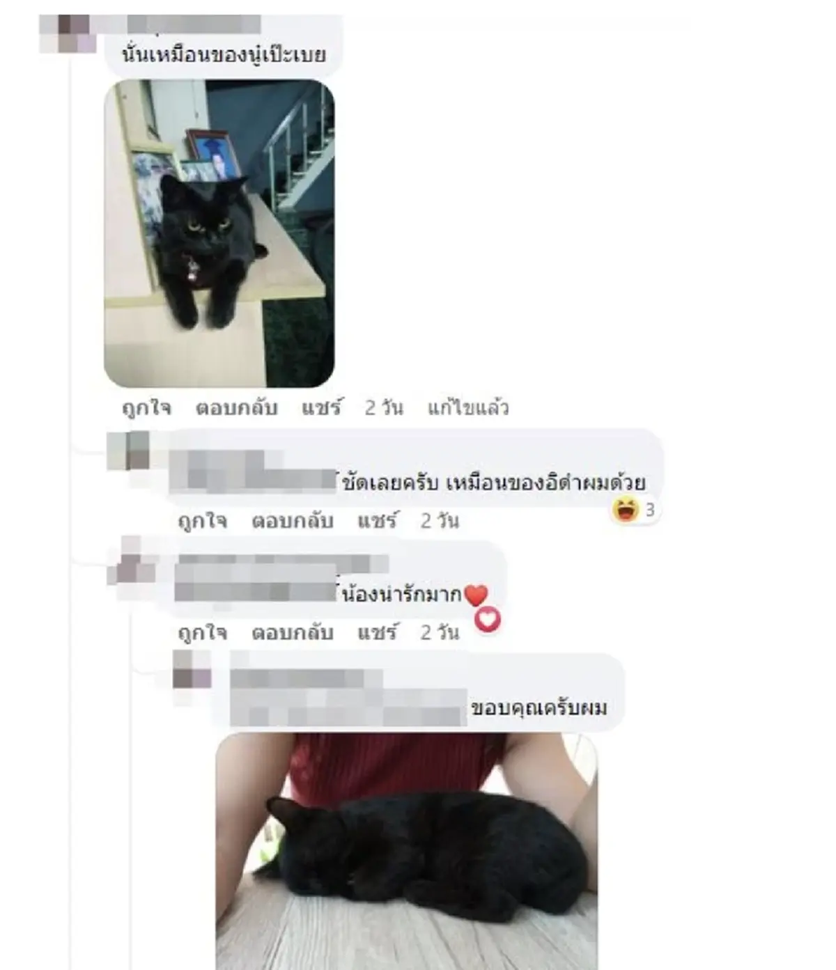 ทาสแมวสะดุดตา เจอแม่ค้าขายหอย เห็นที่ตักหน้าตาคุ้นๆ ภาวนาให้เป็นมือหนึ่ง
