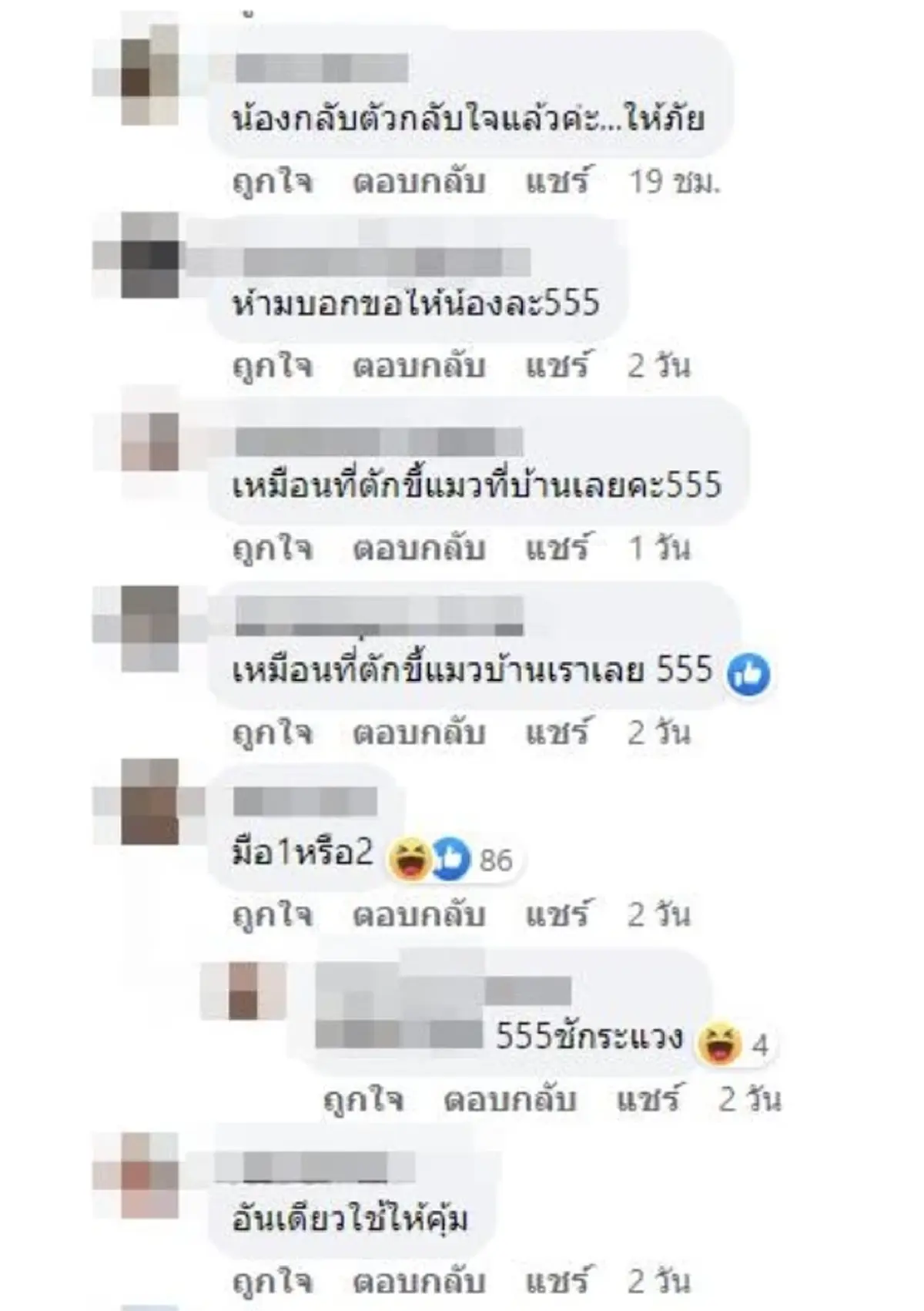 ทาสแมวสะดุดตา เจอแม่ค้าขายหอย เห็นที่ตักหน้าตาคุ้นๆ ภาวนาให้เป็นมือหนึ่ง